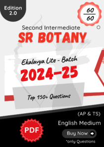 Sr Botany - Lite Ed 2.0 (2024-25)